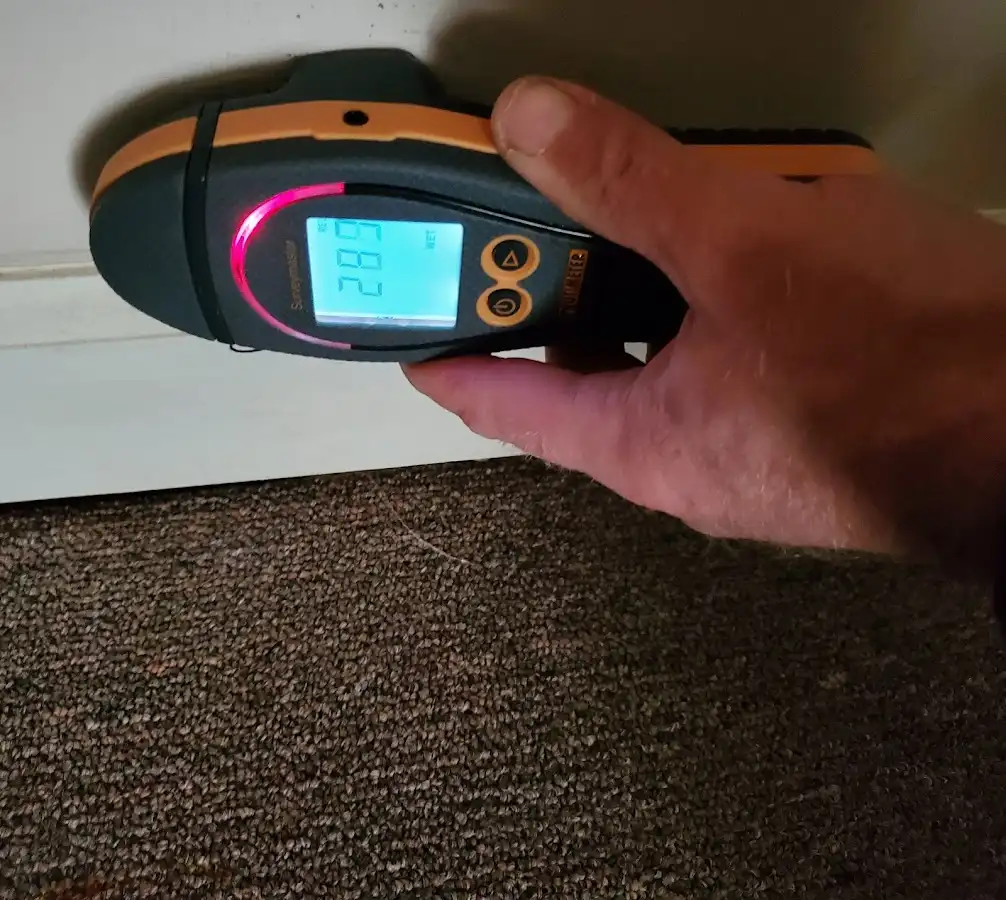 Moisture detection at baseboard during Mold Inspection & Testing in St. Louis Park